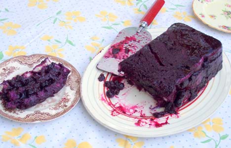 [Picture of a dish of blueberry pudding]